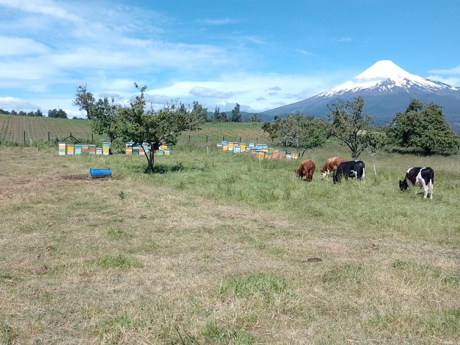 La Posada Del Colono Puerto Clocker Eksteriør bilde